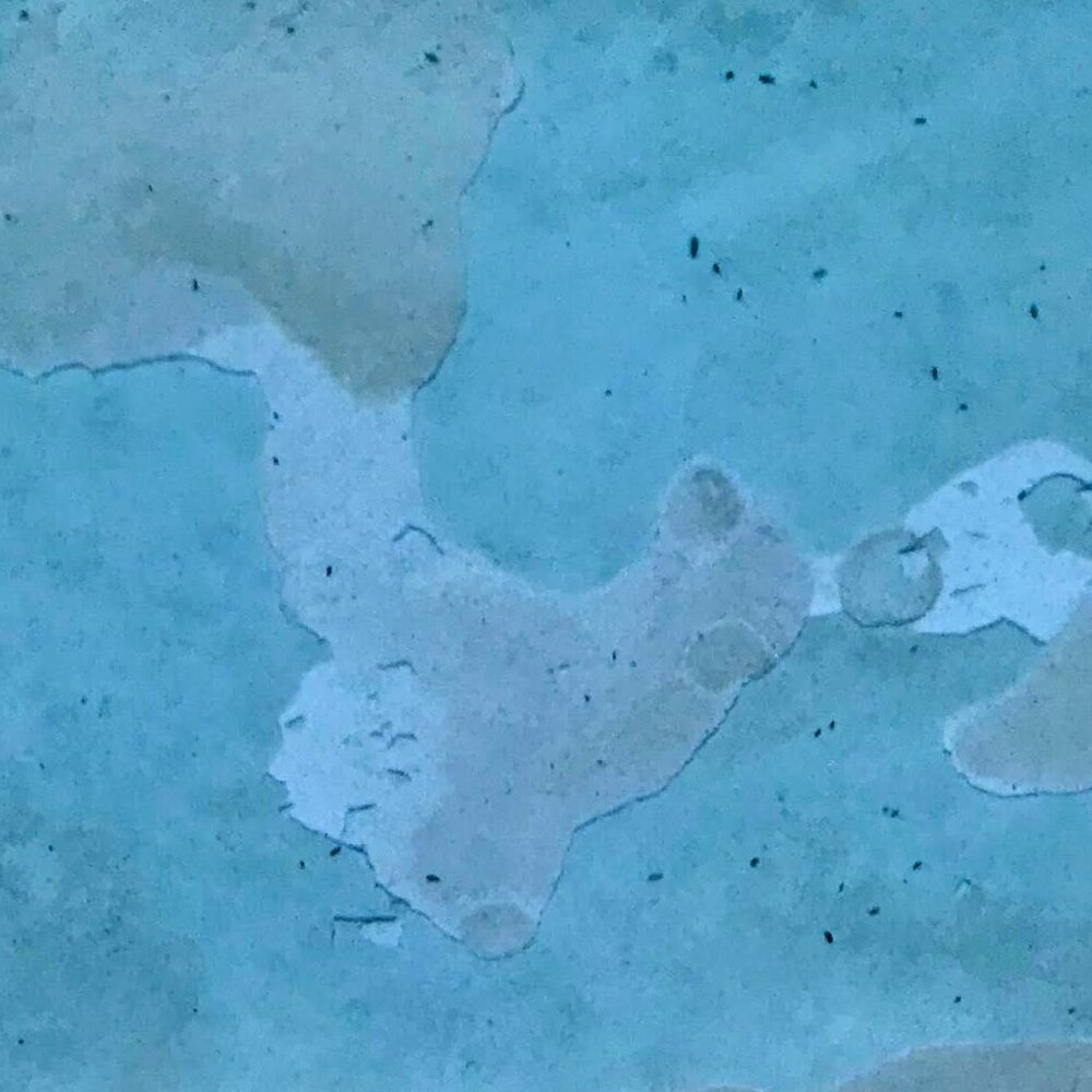 N/A